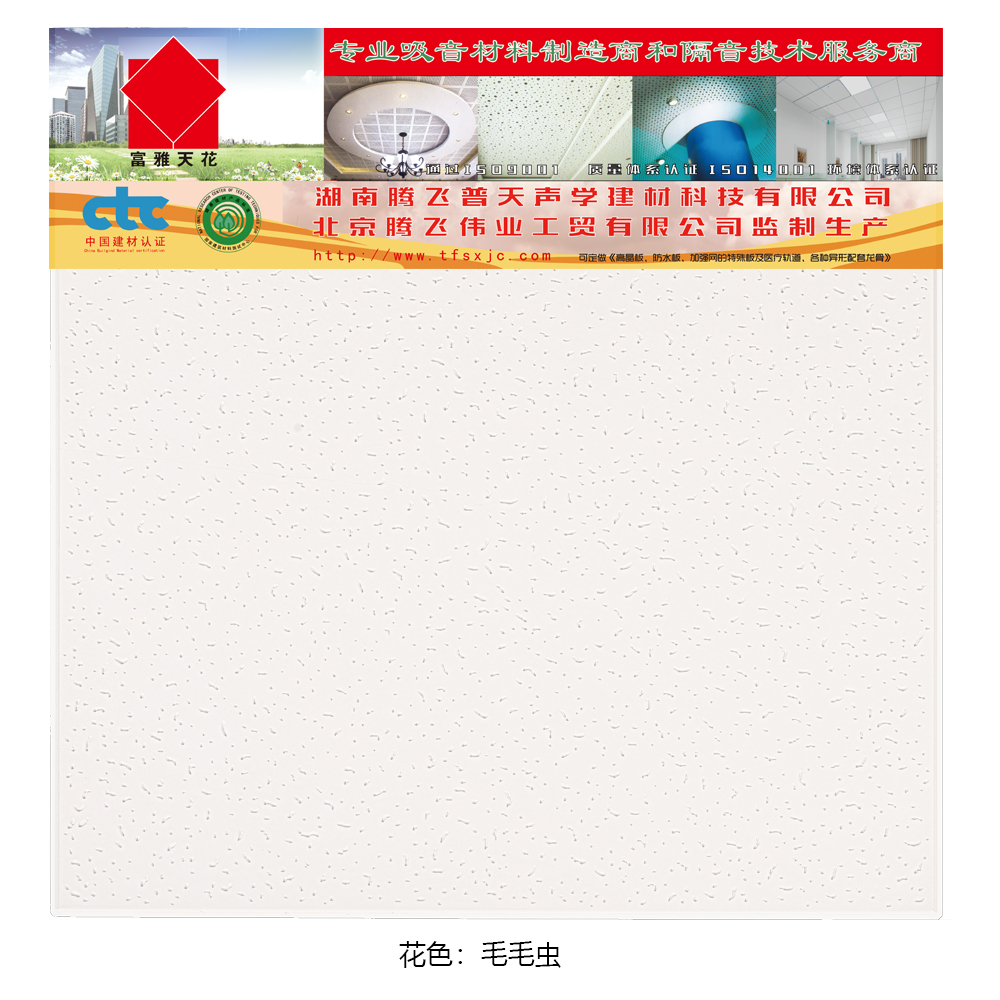 毛毛虫